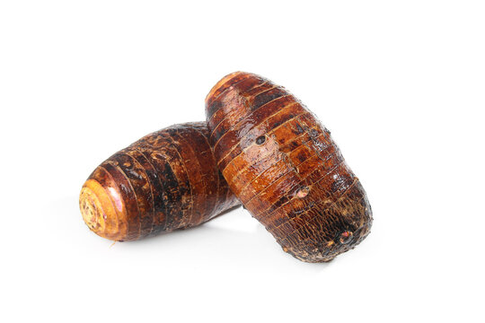 Fresh Taro Root Tubers from Guangxi China Studio Still Life Photography