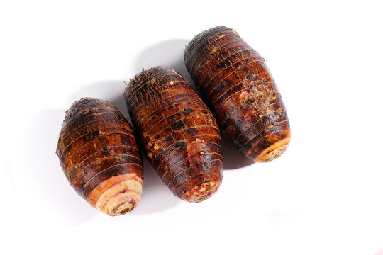 Fresh Taro Roots from Guangxi China - Traditional Asian Vegetable Still Life Studio Photography