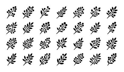 Fototapeta premium Botanical black Berry Branch Collection Green Leaves Nature Vector Illustration