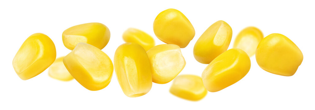 Yellow corn kernels floating in air, isolated on transparent cutout background
