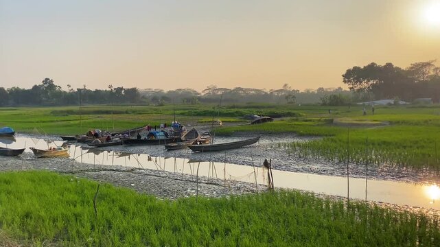 Scenic rural Bangladesh, sunset over green paddy field. wooden boat with small river go through village.