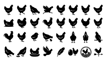 Fototapeta premium Chicken Hen Silhouette Bundle Farm Poultry Bird Vector Collection