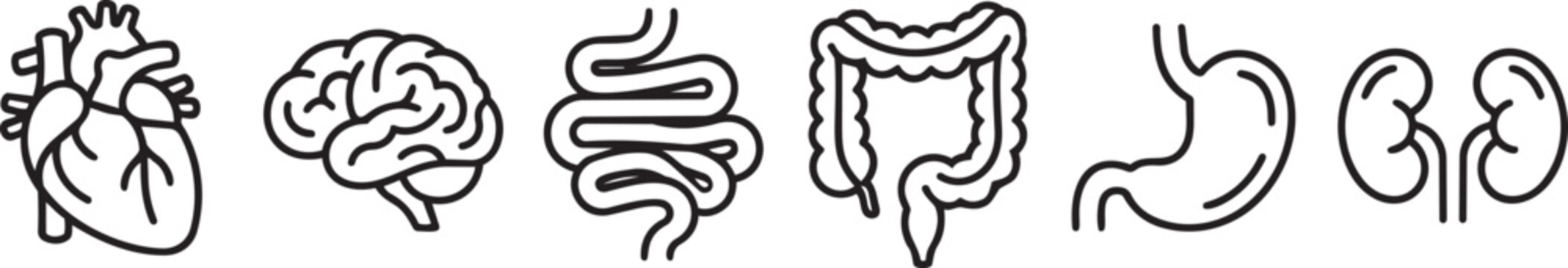Human internal organ icons set heart, brain, stomach, kidney anatomy vector illustration