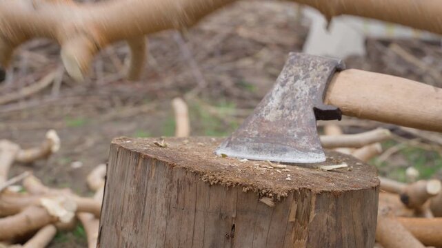 Chopping wooden branches with axe on tree stump close-up 