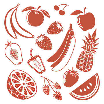 Colorful tropical fruits flat illustration