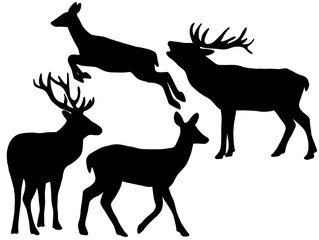 Wild Deer and Antlered Stag Silhouette Clipart Collection. Deer Silhouette Collection with Stag and Doe Vector Set. Black Deer Silhouette Bundle with Standing and Running Deer.  © rahayu