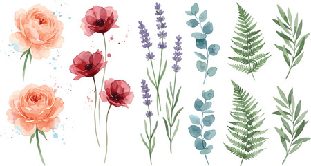 Watercolor floral arrangement featuring roses poppies lavender eucalyptus and ferns © Bablyara