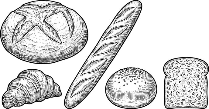Vintage Bakery and Fresh Bread Collection Vector Set Featuring Sourdough Loaf French Baguette Croissant Sesame Bun and Toast Slice in Classic Engraving Style