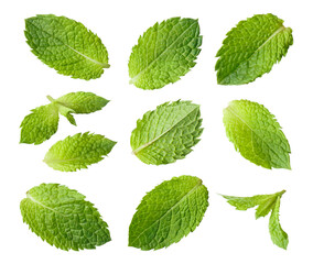 Set of fresh mint leaves, isolated on transparent cutout background © Yeti Studio