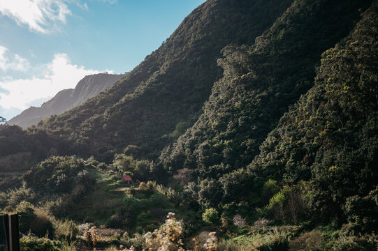 Tiny red house nestled on a lush green mountainside, Vereda do Larano