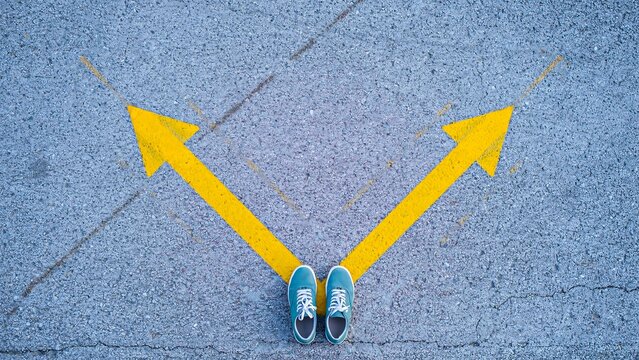 Yellow directional arrows on pavement with choice decision and career path concept