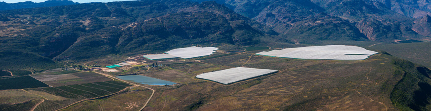 Panoramic view of shadesail-covered citrus orchards near Clanwilliam in the Western Cape of South Africa. Cedarberg Mountains in background. 