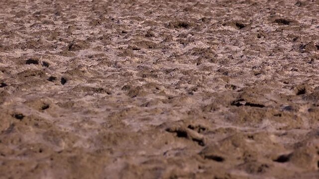 close up of dried up lake bed in Death Valley