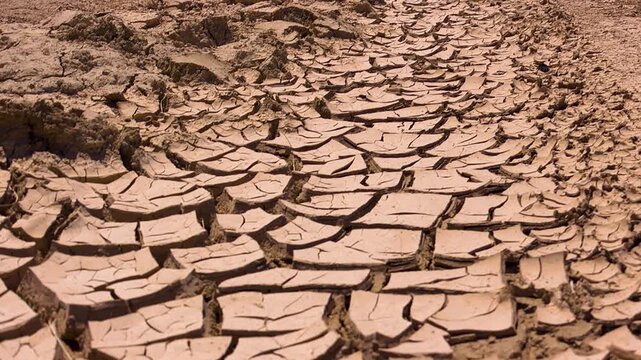 Close up of dried up mud in death valley