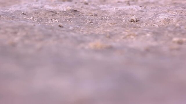Close up of dry salt bed in the death valley desert