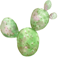 cactus in the desert painted by watercolor © Mary