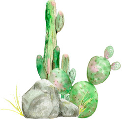 cactus in the desert painted by watercolor © Mary