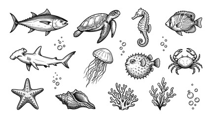 Obraz premium Fish doodle icons, hand drawn marine animals, sea life collection, tuna, turtle, seahorse, ink sketch, vector