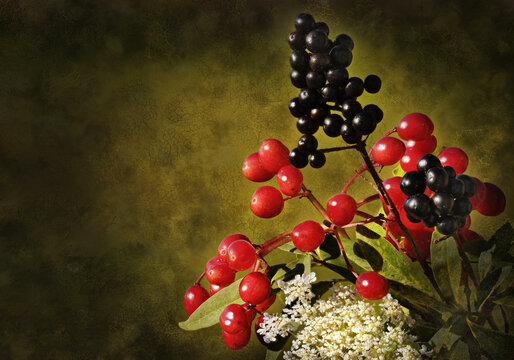 Strau&szlig; mit verschiedenen Beeren
