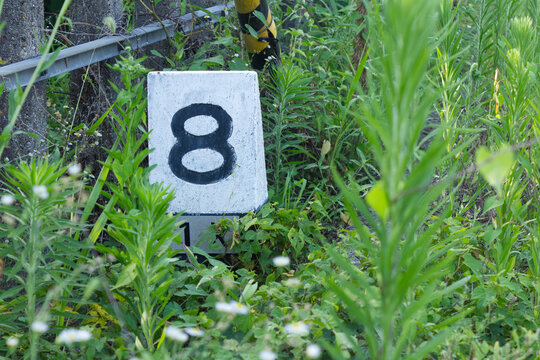 みのあかさか（美濃赤坂）駅の草むらにある「8」の数字が描かれた鉄道の距離標、岐阜県大垣市のローカル線風景（日本）