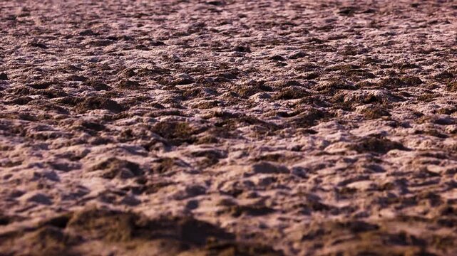 Close up shot of a dry mud field in death valley