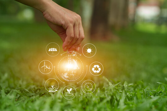 light bulb on green grass lawn with eco friendly clean energy icon graphics representing sustainable innovation concept.