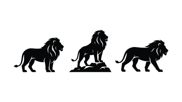 Three lions standing in different poses with transparent background