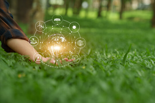light bulb on green grass lawn with eco friendly clean energy icon graphics representing sustainable innovation concept.