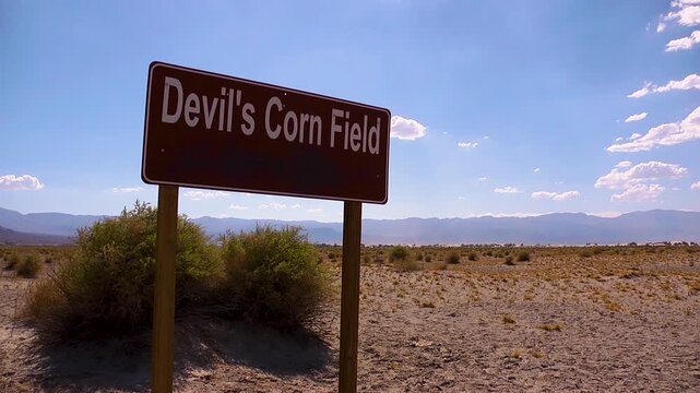 Devils corn field sign in Death Valley