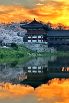 Woljeonggyo Bridge during the cherry blossom season in spring. Gyeongju, South Korea.