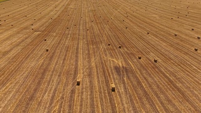 Straw bales on harvested wheat field top down drone view, aerial high angle agricultural harvest concept