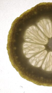 A slice of lemon being poured with soda water, bubbles popping around it.