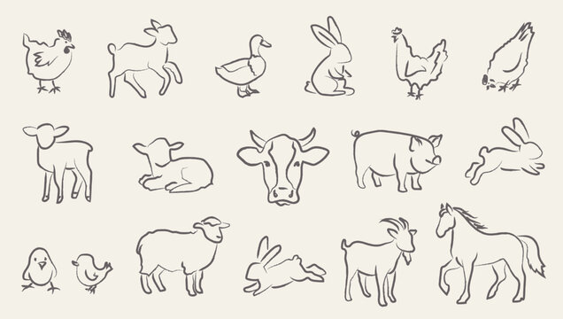 Sketchy hand drawn farm animal characters with textured ink outlines. Rustic pastel livestock poultry drawings for education, packaging, branding, nursery. Vector illustration isolated on background.