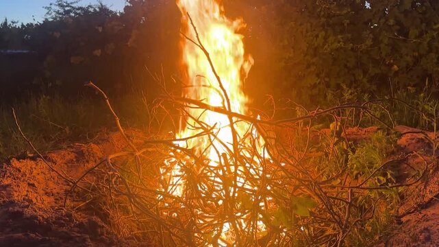 a bright evening bonfire in a large pit . High quality 4k footage
