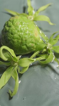 Kaffir lime (bergamot) being submerged in a low wavy water with ylang-ylang flowers around it.
