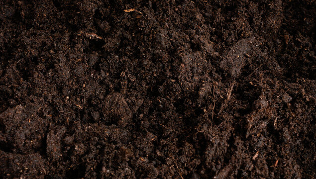 Peat soil textured background. Compost pile, brown garden dirt mound