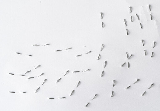 Staples pushed into a paper, metal office staple needles