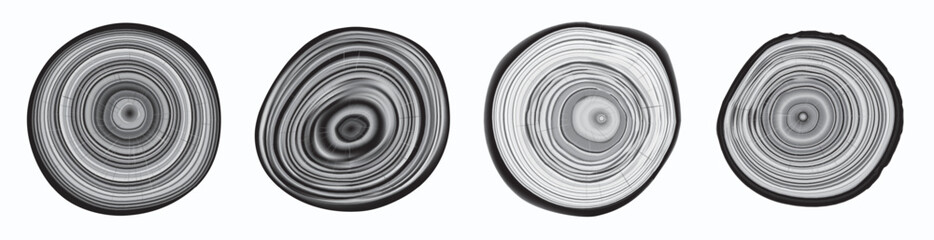 Tree trunk cut texture, wood slice annual rings vector pattern © ange1011