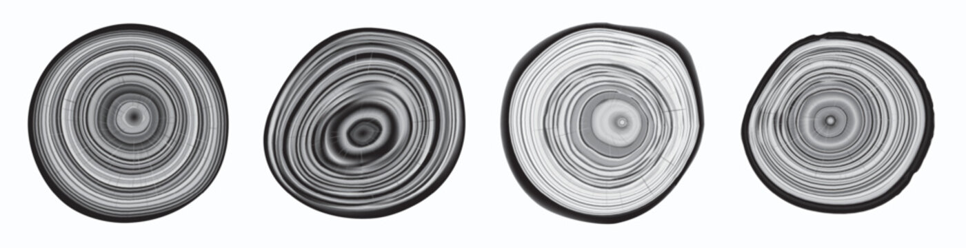 Tree trunk cut texture, wood slice annual rings vector pattern