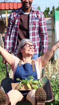 Happy senior farmer cheering in wheelbarrow at vegetable patch
