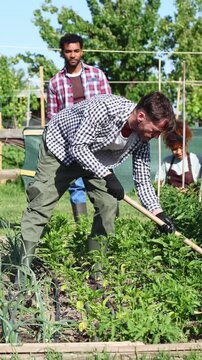 Multiethnic group of farmers working together in a vegetable patch
