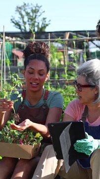 Senior farmer teaching young volunteers organic gardening