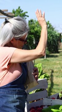 Farmer and senior woman shaking hands at market stall