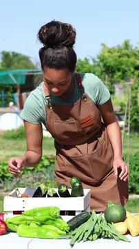 Farmer woman arranging organic vegetables at a market stall