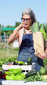 Greengrocer selling fresh organic vegetables at a local farmers market stall
