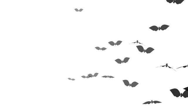 Swarm of Butterflies: A captivating swarm of dark butterflies gracefully takes flight, their wings a silhouette against the bright expanse.