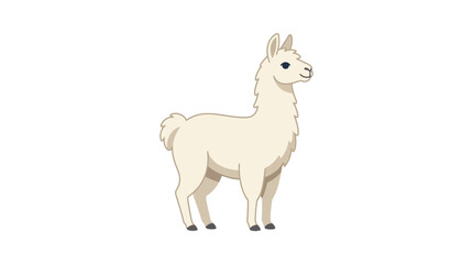 Cute White Llama Cartoon Vector Illustration © Bojo