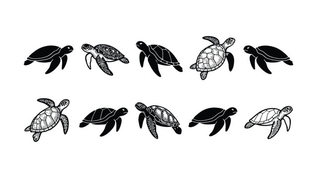 Collection of black and white sea turtle illustrations with transparent background