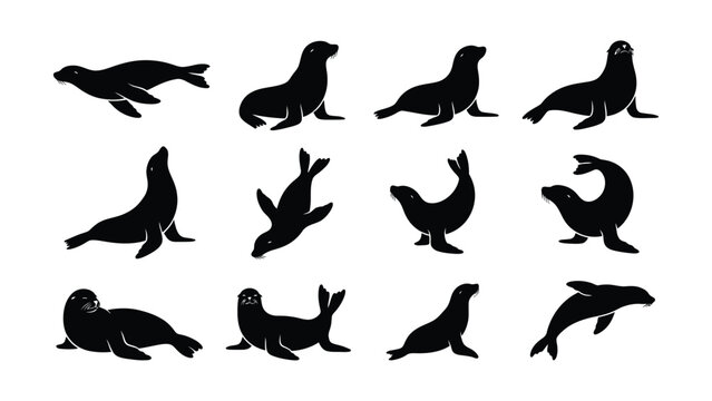Various Seal Silhouettes Displaying Different Swimming and Resting Positions