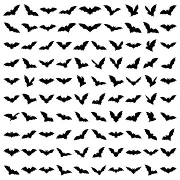 Bats Collection, Halloween Silhouettes, Flying Wildlife Set, Cartoon Creatures, Spooky Mammal Icons, Black Creatures, Vector Graphics isolated on White Background Back to school
